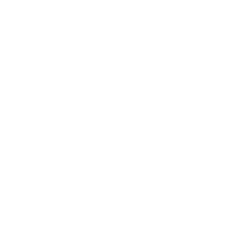 Don Julian Tours Logo